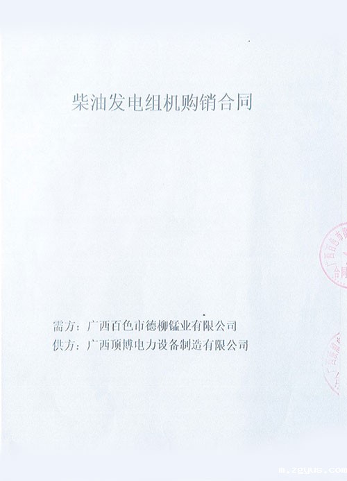 广西百色讪德柳锰业有限公司购买200KW上柴发电机组