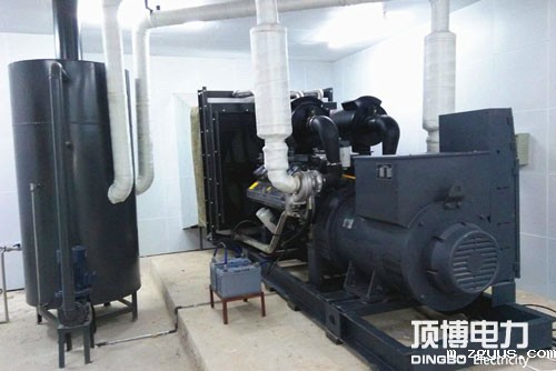 柳州市轨道交通工程公司里卡多柴油发电机组