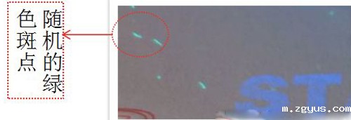 合格证—荧光防伪