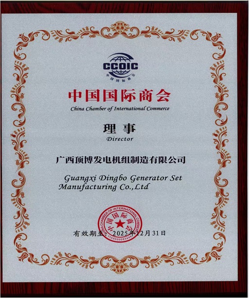 -中国国际商会 理事